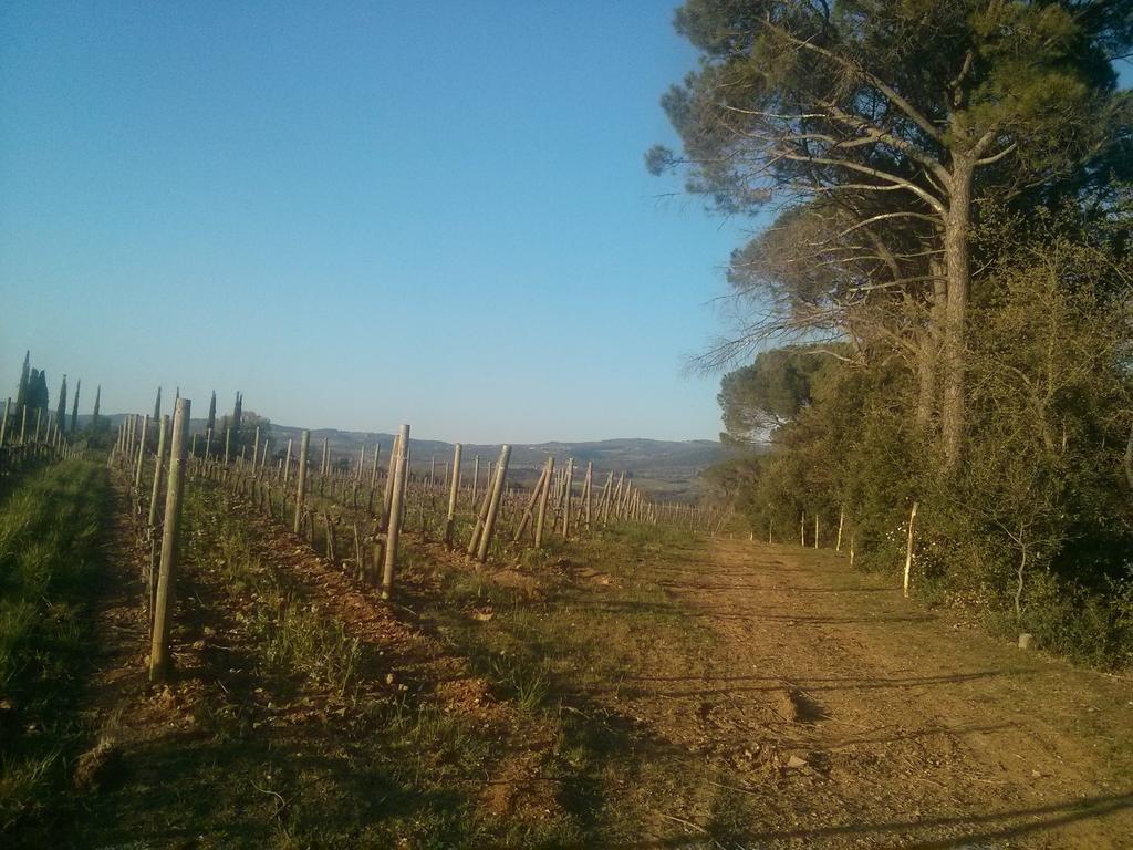 Argiano Dimore Wine Relais Dış mekan fotoğraf