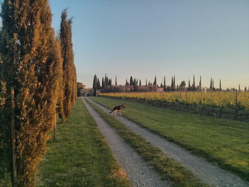 Argiano Dimore Wine Relais Dış mekan fotoğraf